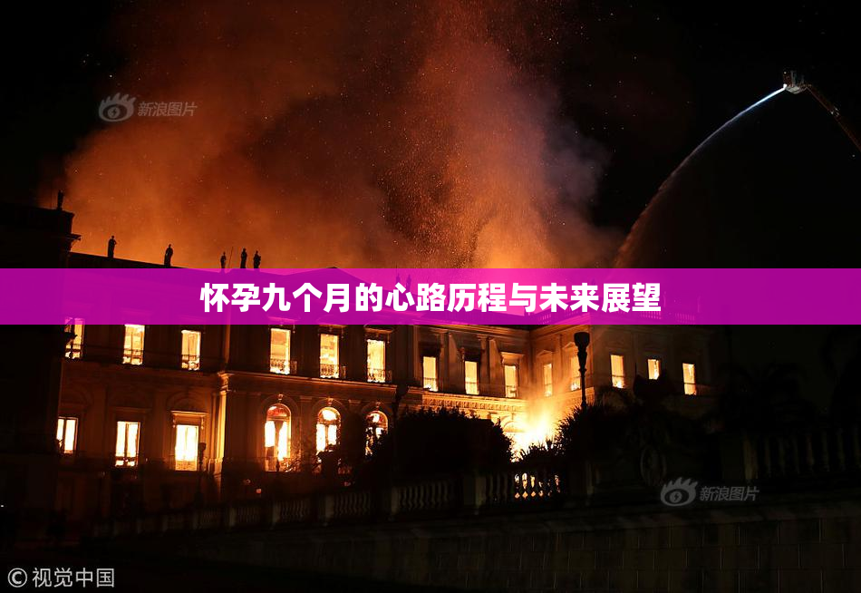 怀孕九个月的心路历程与未来展望