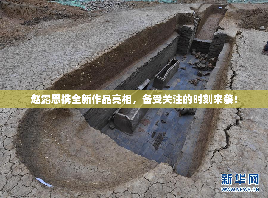 赵露思携全新作品亮相，备受关注的时刻来袭！