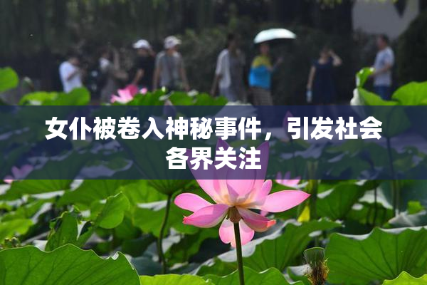 女仆被卷入神秘事件，引发社会各界关注
