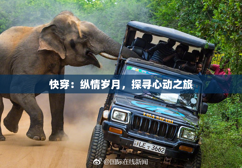快穿：纵情岁月，探寻心动之旅
