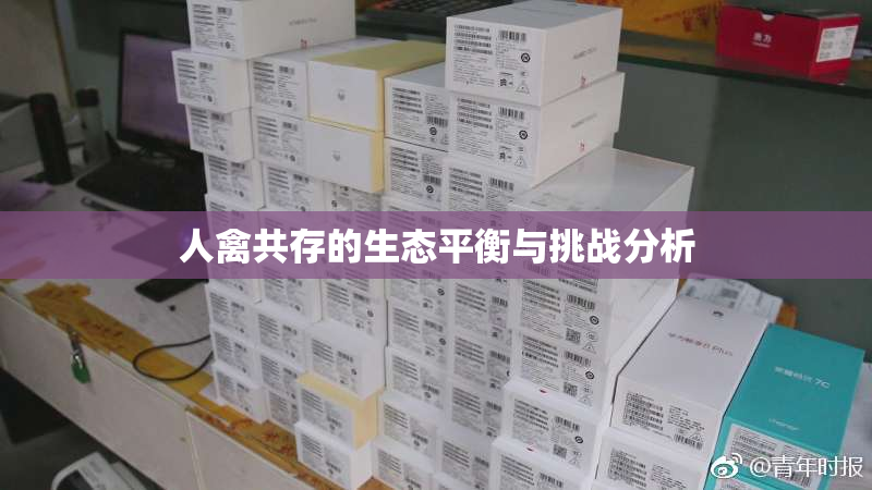 人禽共存的生态平衡与挑战分析