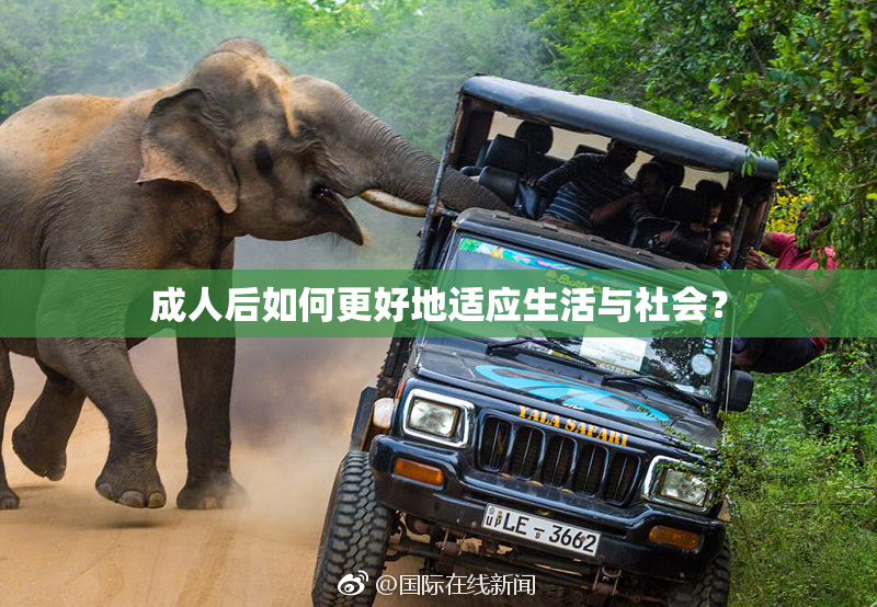成人后如何更好地适应生活与社会？