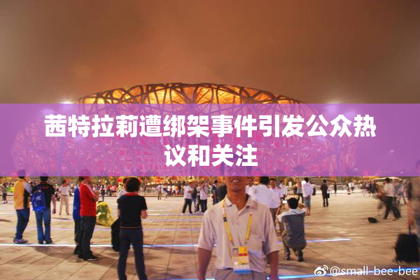 茜特拉莉遭绑架事件引发公众热议和关注
