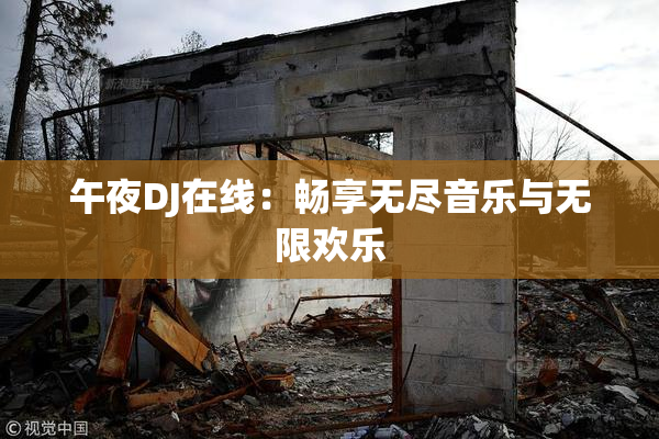 午夜DJ在线：畅享无尽音乐与无限欢乐
