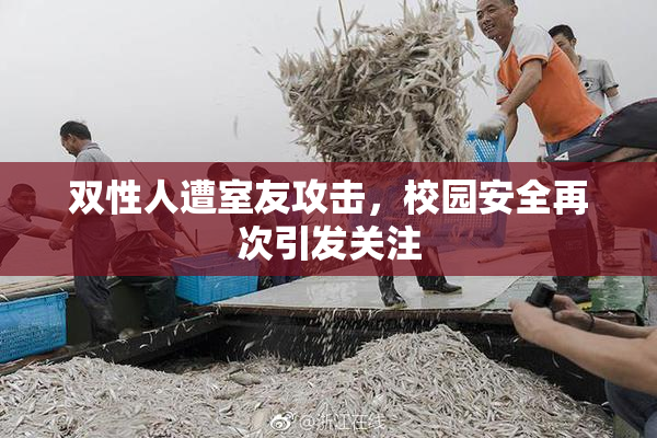 双性人遭室友攻击，校园安全再次引发关注