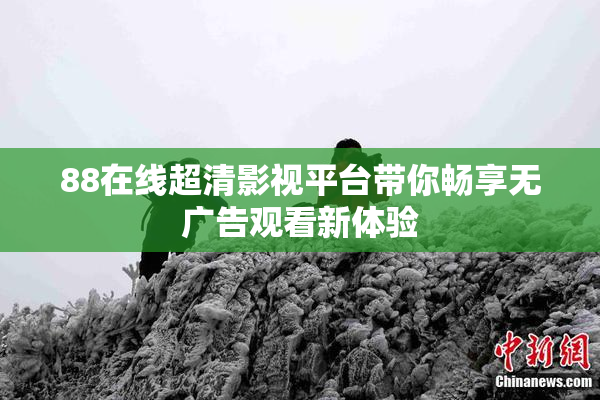 88在线超清影视平台带你畅享无广告观看新体验