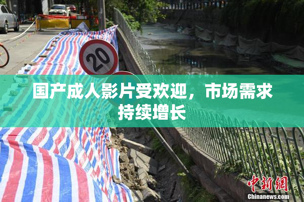 国产成人影片受欢迎，市场需求持续增长