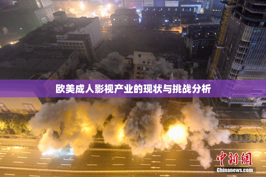 欧美成人影视产业的现状与挑战分析