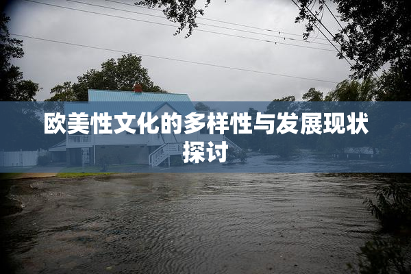 欧美性文化的多样性与发展现状探讨