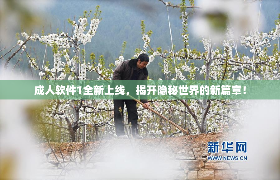 成人软件1全新上线，揭开隐秘世界的新篇章！