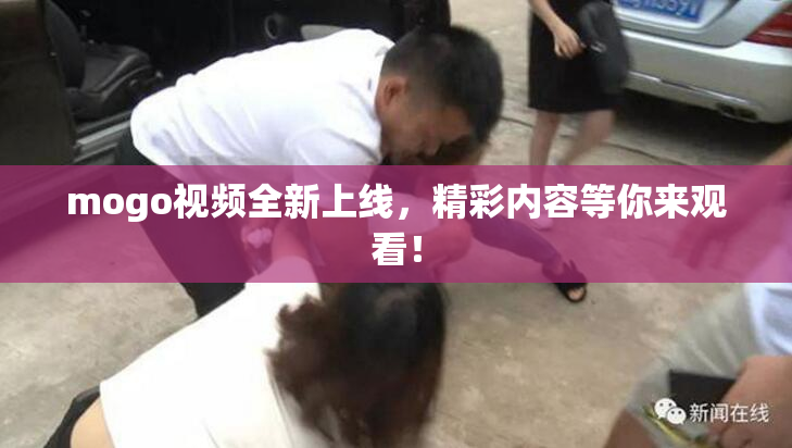 mogo视频全新上线，精彩内容等你来观看！