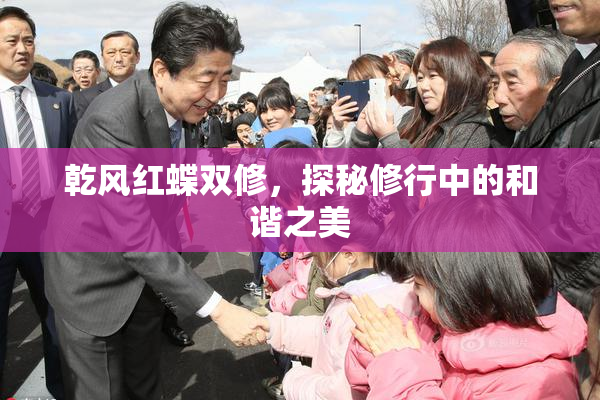 乾风红蝶双修，探秘修行中的和谐之美