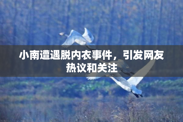 小南遭遇脱内衣事件，引发网友热议和关注