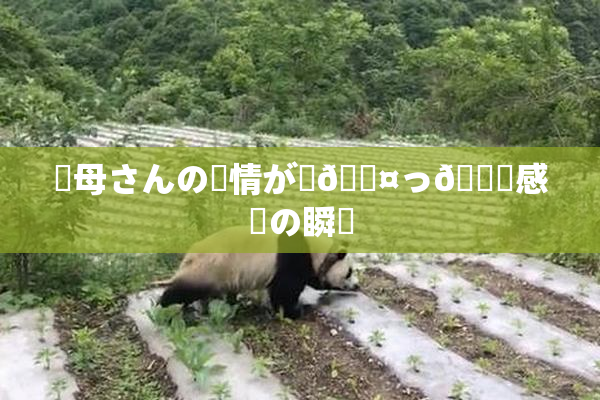 ✿母さんの愛情が詰🖤っ👅感動の瞬間