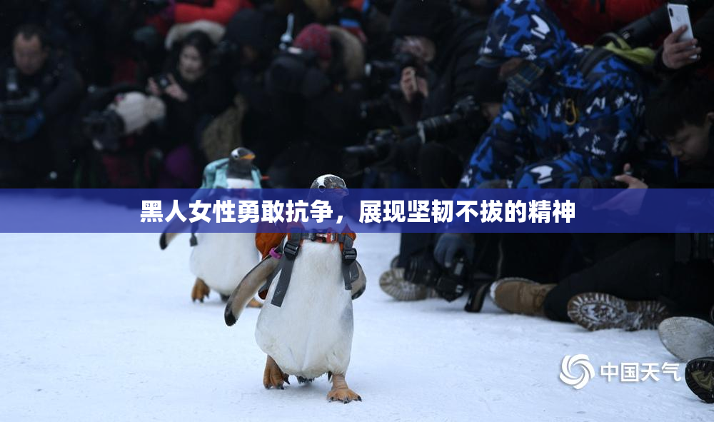 黑人女性勇敢抗争，展现坚韧不拔的精神
