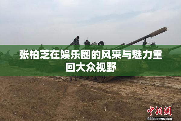 张柏芝在娱乐圈的风采与魅力重回大众视野
