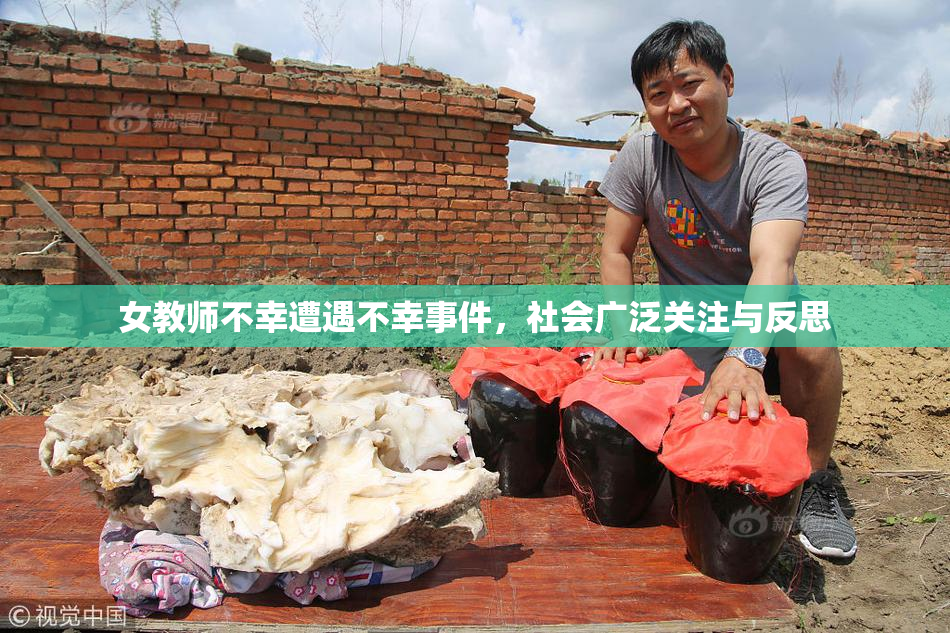 女教师不幸遭遇不幸事件，社会广泛关注与反思