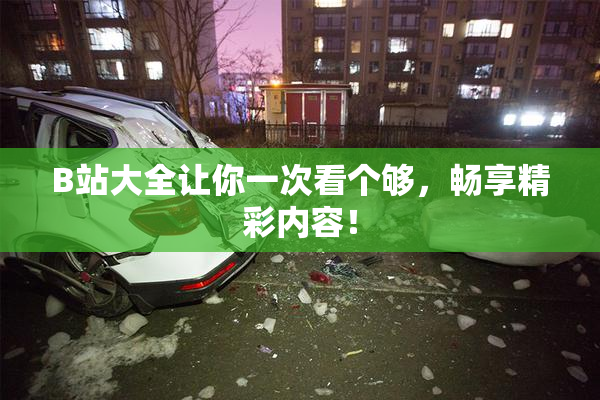 B站大全让你一次看个够，畅享精彩内容！