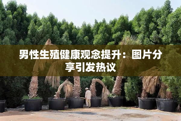 男性生殖健康观念提升：图片分享引发热议