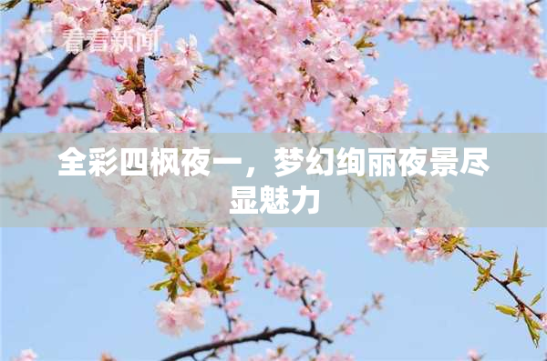 全彩四枫夜一，梦幻绚丽夜景尽显魅力