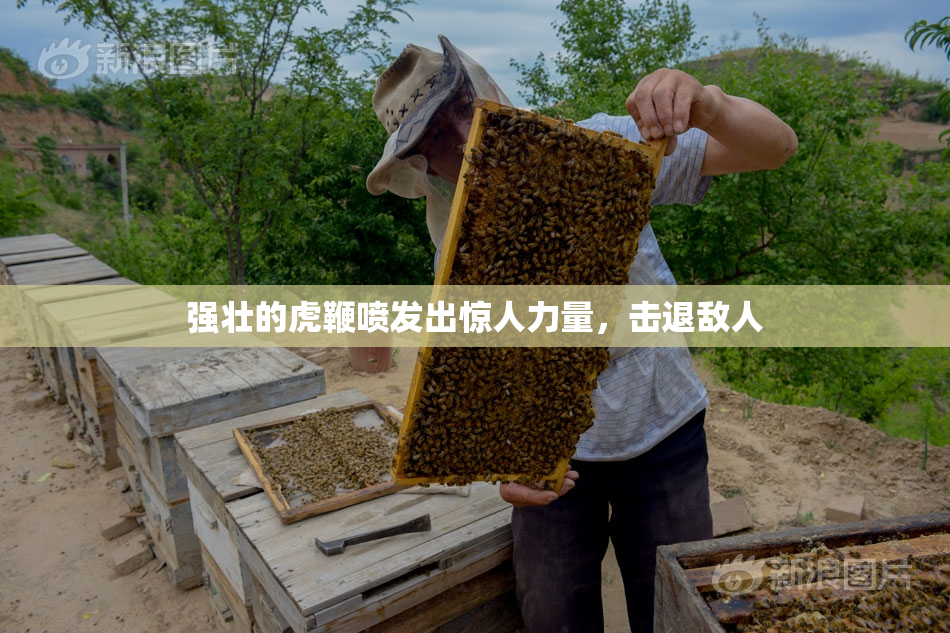 强壮的虎鞭喷发出惊人力量，击退敌人