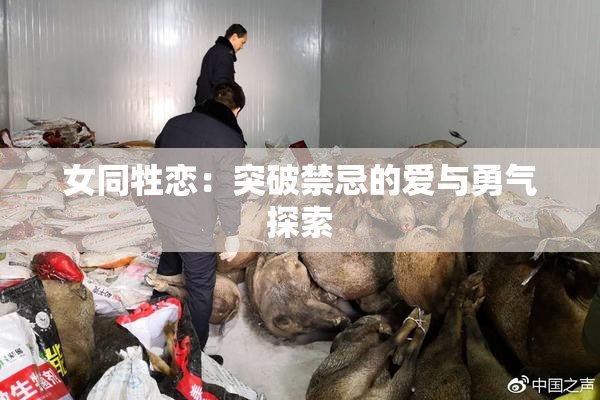 女同牲恋：突破禁忌的爱与勇气探索