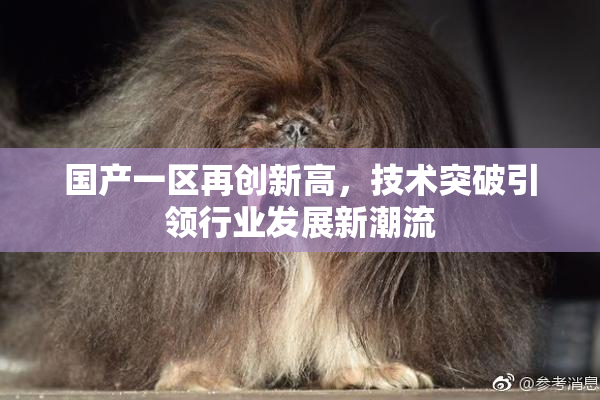 国产一区再创新高，技术突破引领行业发展新潮流