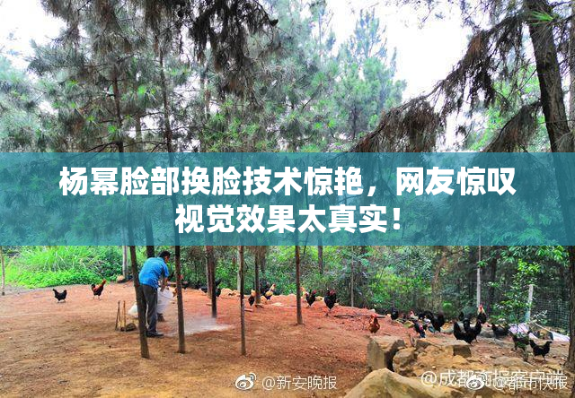 杨幂脸部换脸技术惊艳，网友惊叹视觉效果太真实！