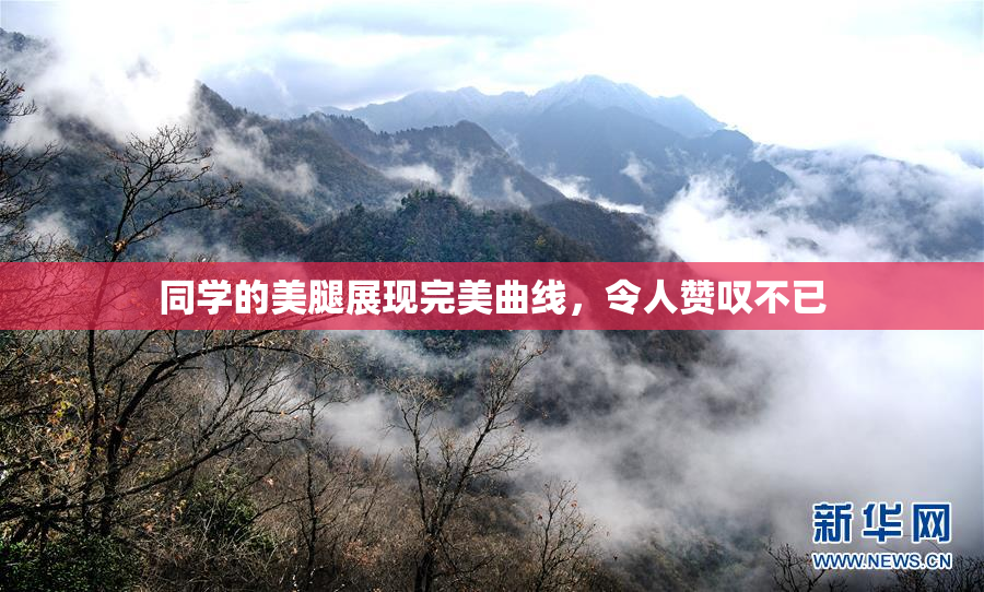 同学的美腿展现完美曲线，令人赞叹不已