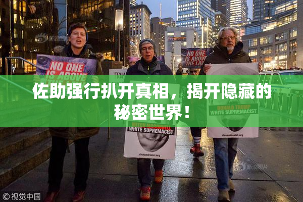佐助强行扒开真相，揭开隐藏的秘密世界！