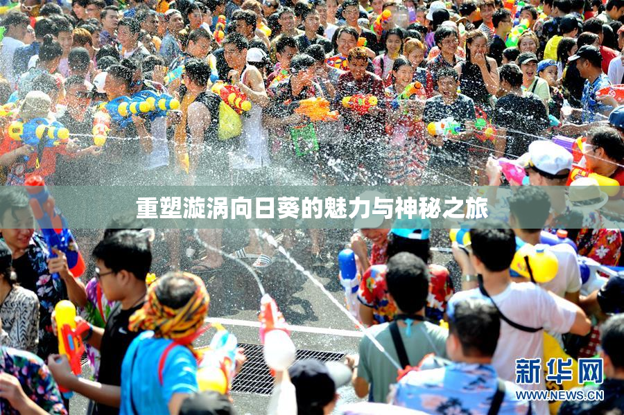 重塑漩涡向日葵的魅力与神秘之旅