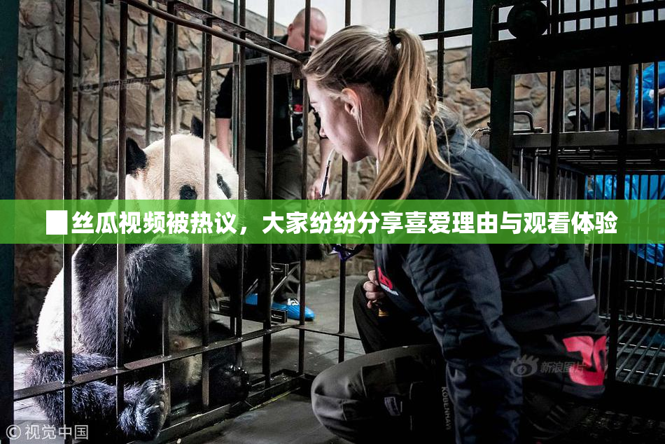 ▉丝瓜视频被热议，大家纷纷分享喜爱理由与观看体验