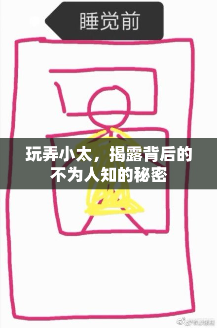 玩弄小太，揭露背后的不为人知的秘密