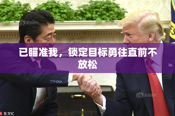 已瞄准我，锁定目标勇往直前不放松