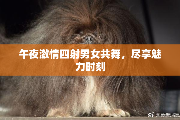 午夜激情四射男女共舞，尽享魅力时刻