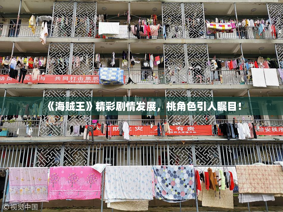 《海贼王》精彩剧情发展，桃角色引人瞩目！