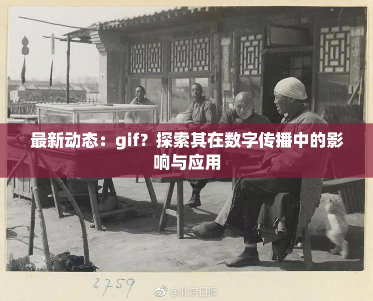 最新动态：gif？探索其在数字传播中的影响与应用