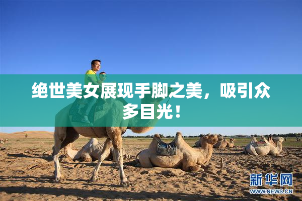 绝世美女展现手脚之美，吸引众多目光！