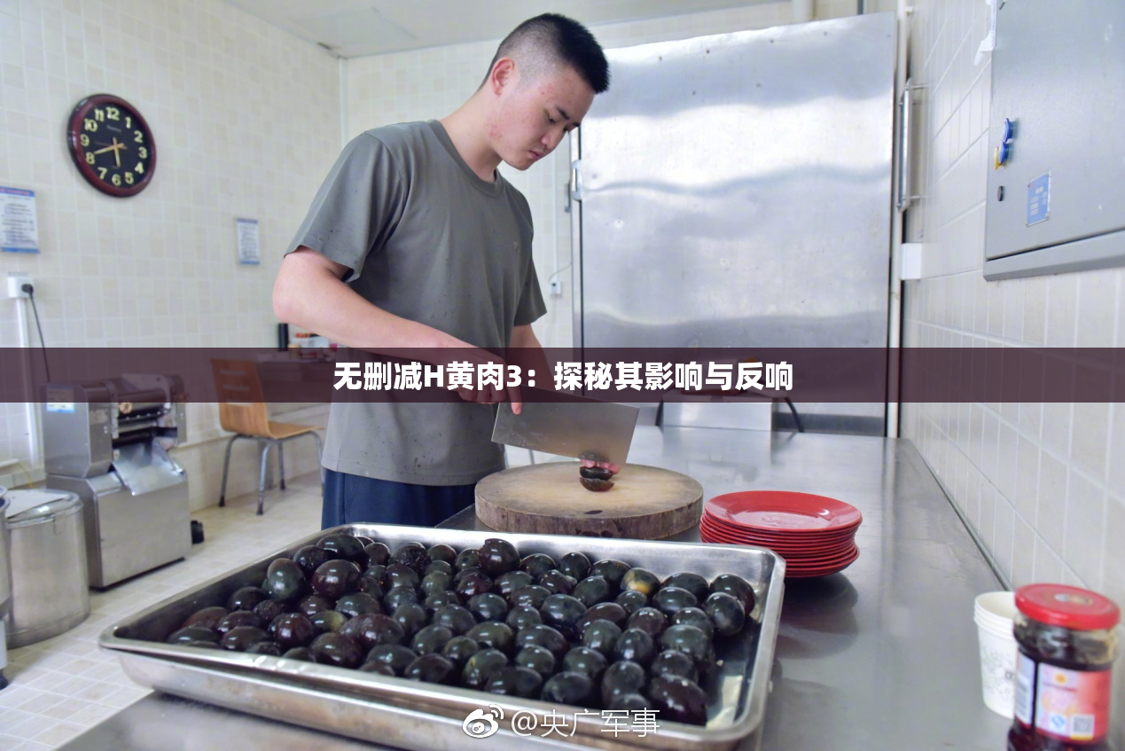 无删减H黄肉3：探秘其影响与反响