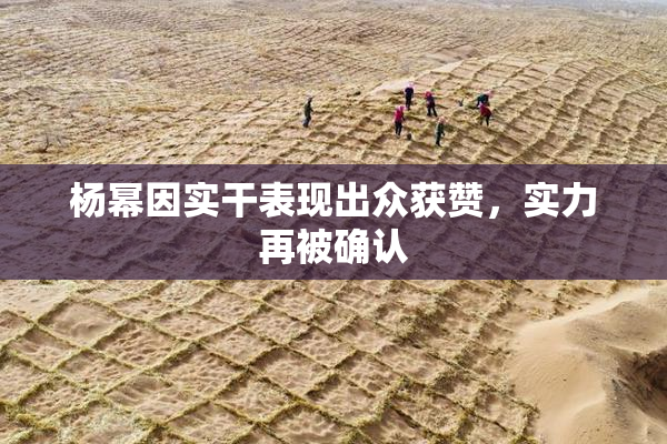杨幂因实干表现出众获赞，实力再被确认