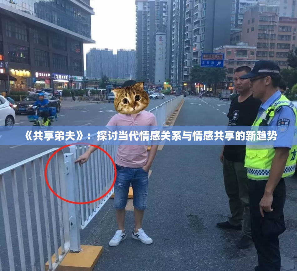 《共享弟夫》：探讨当代情感关系与情感共享的新趋势