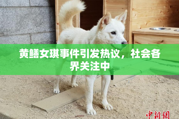 黄鳝女琪事件引发热议，社会各界关注中