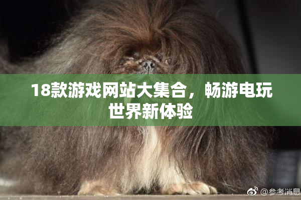 18款游戏网站大集合，畅游电玩世界新体验