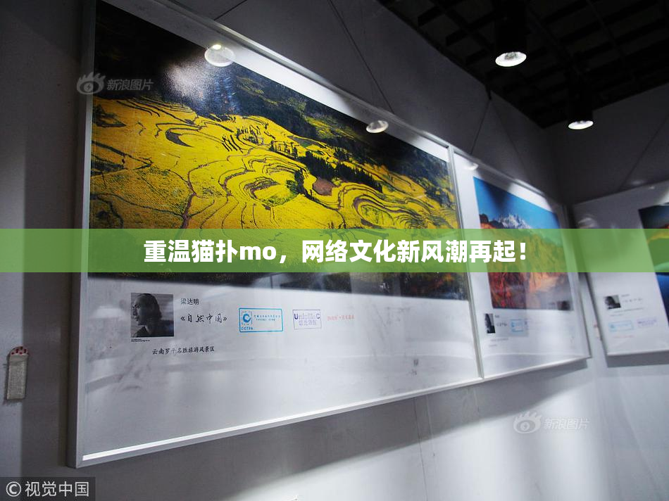 重温猫扑mo，网络文化新风潮再起！