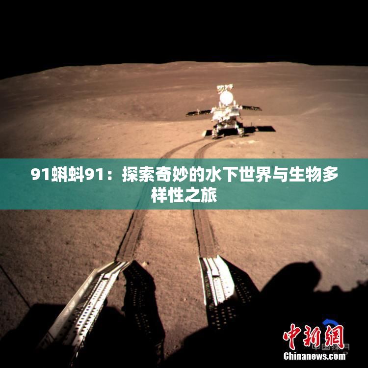 91蝌蚪91：探索奇妙的水下世界与生物多样性之旅