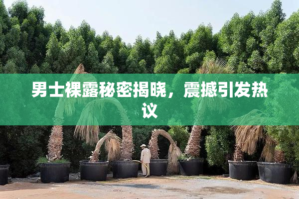 男士裸露秘密揭晓，震撼引发热议