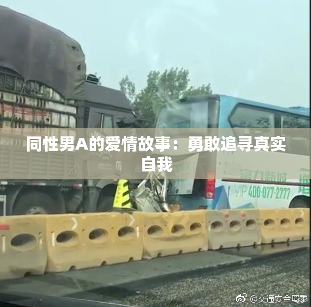 同性男A的爱情故事：勇敢追寻真实自我