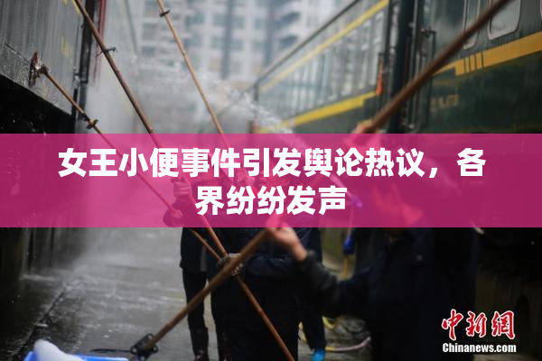 女王小便事件引发舆论热议，各界纷纷发声