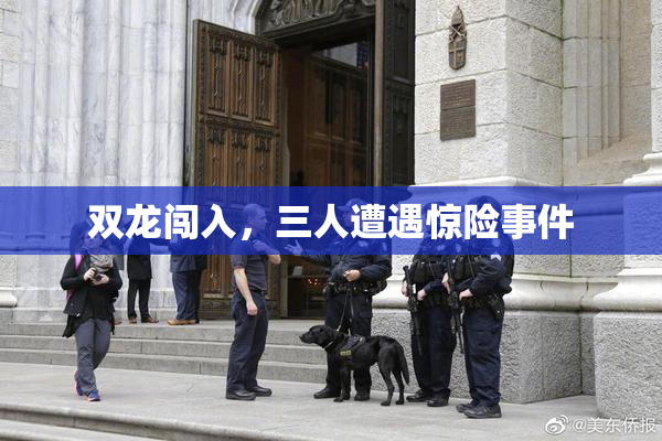 双龙闯入，三人遭遇惊险事件
