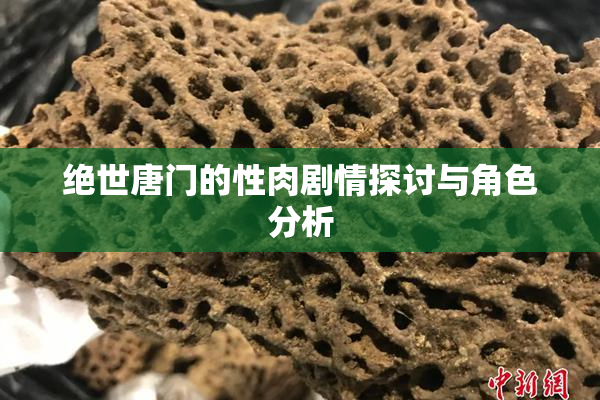 绝世唐门的性肉剧情探讨与角色分析